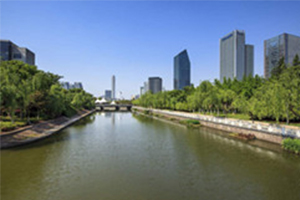 城市黑臭水體整治環保專項行動發現的突出問題