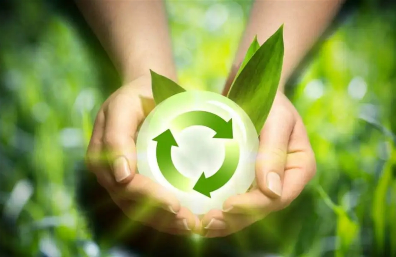 黨的十八大以來，我們在生態環境保護工作當中取得了哪些進展？