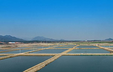  養殖尾水治理方案