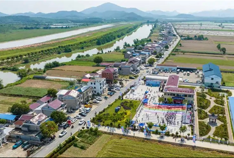 七網融合、五水共治 、治出鄉村振興新畫卷