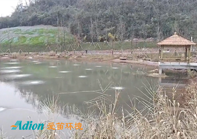 愛笛為重慶鐘家溝河道治理項(xiàng)目提供設(shè)備